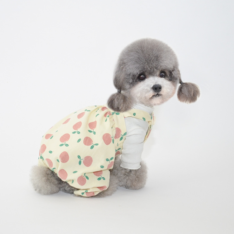 Pet Corduroy Suspenders Pants Pumpkin Style Fall Outfit