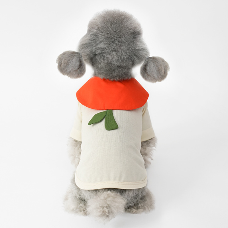 Pet Short Sleeve Dress Bow Neck Summer Style