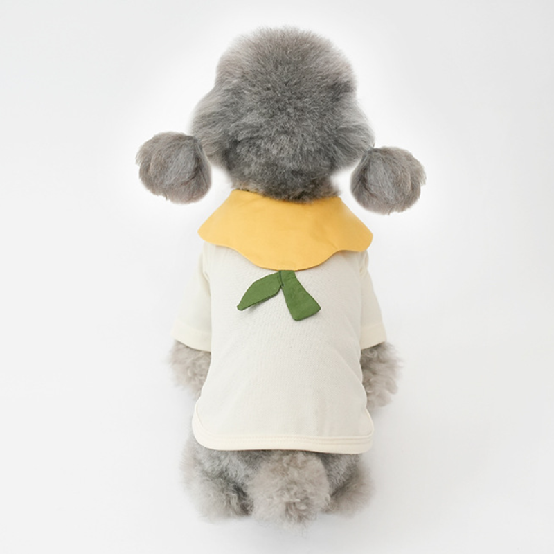 Pet Short Sleeve Dress Bow Neck Summer Style