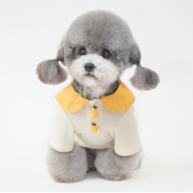 Pet Short Sleeve Dress Bow Neck Summer Style