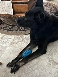 Dog Chew Toys Rubber Football review an