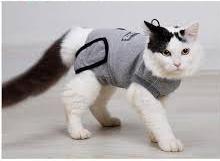 Cat Recovery Suit for Small Medium Cats review Emily Roberts