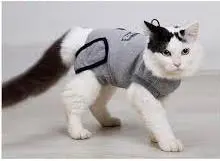 Cat Recovery Suit for Small Medium Cats review Emily Roberts