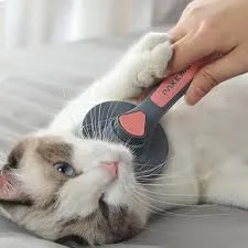 Cat Dog Hair Removal Beauty Massage Brush review William Turner