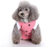 Dog Recovery Suit for Eutered Post-operative Care review 0