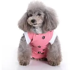 Dog Recovery Suit for Eutered Post-operative Care review Jennifer Smith