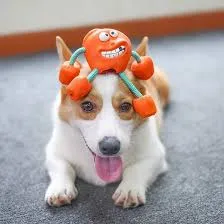 Dog Molar Sounding Toy Rubber Apple review David Anderson
