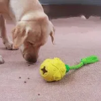 Dog Pineapple Chew Toys review 0