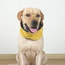 Solid Color Double Sided Dog Scarf review Jennifer Parker
