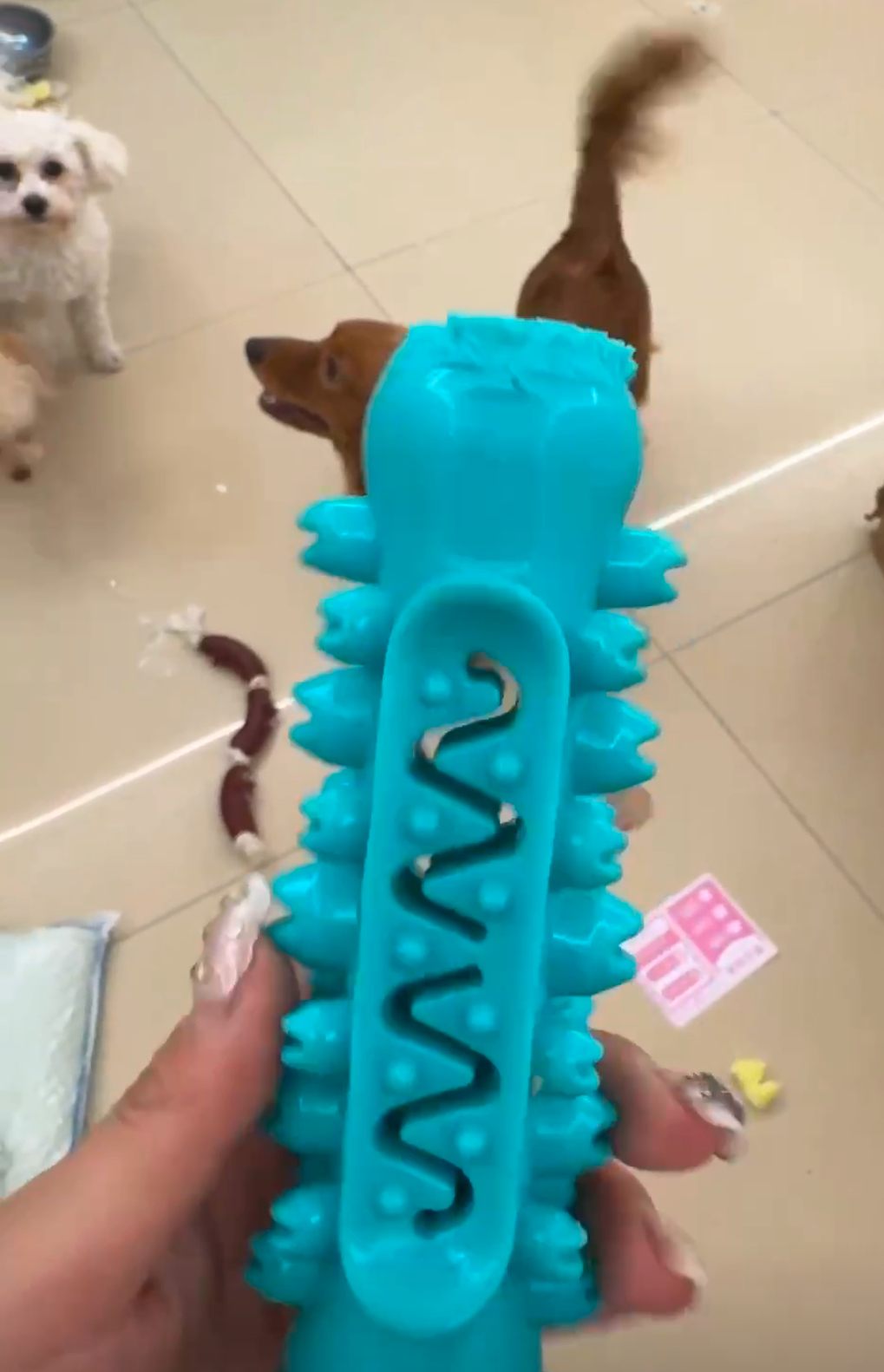 Dog Chew Toy Rubber Molar Stick review Jessica T