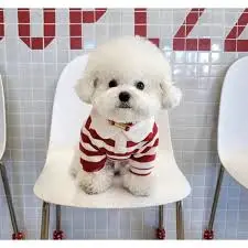 Casual Striped Round Neck T-Shirt Two-legged Pet Clothes review Sarah Thompson
