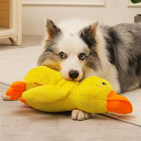Dog Toys With Plush Sound, Accompanying Sleeping Ducks review John Williams
