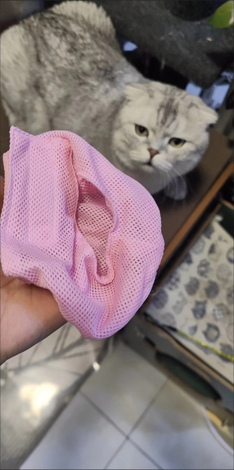 DOGLEMI Cat Muzzle Breathable Mesh Muzzle Adjustable Cat Mask That Prevents Eating Biting And Barking review Stephanie Jenkins