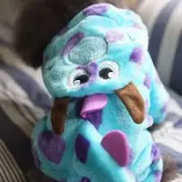 Sulley - inspired Pet Costume for Fall Winter review 0