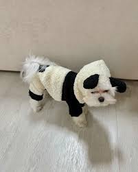 Pet Dog Autumn And Winter Four Legged Panda Clothing review Ethan Anderson
