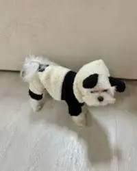 Pet Dog Autumn And Winter Four Legged Panda Clothing review 0