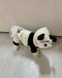 Pet Dog Autumn And Winter Four Legged Panda Clothing review Ethan Anderson