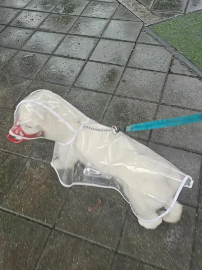 Dog And Cat Waterproof Raincoat review Sophia Carter