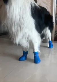 Dog Waterproof Rain Boots review 0