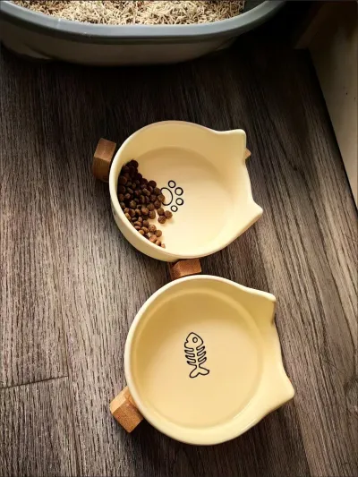 Cat Ear Ceramic Bowl with Wooden Stand review Megan Foster