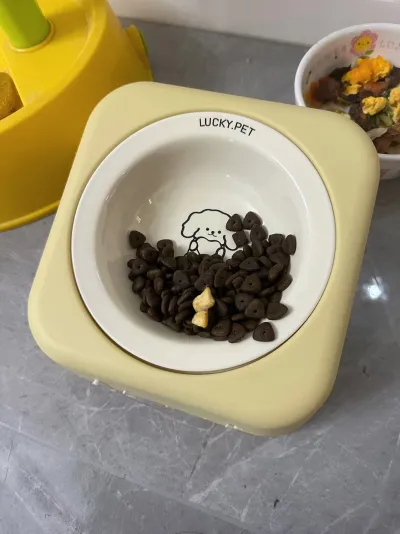 Cute Cartoon UFO Pet Bowl review Olivia Foster