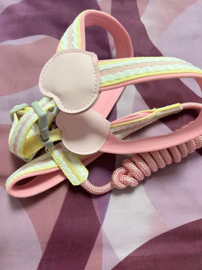 Pet Adjustable Chest Harness Leash Set review Christopher Bell