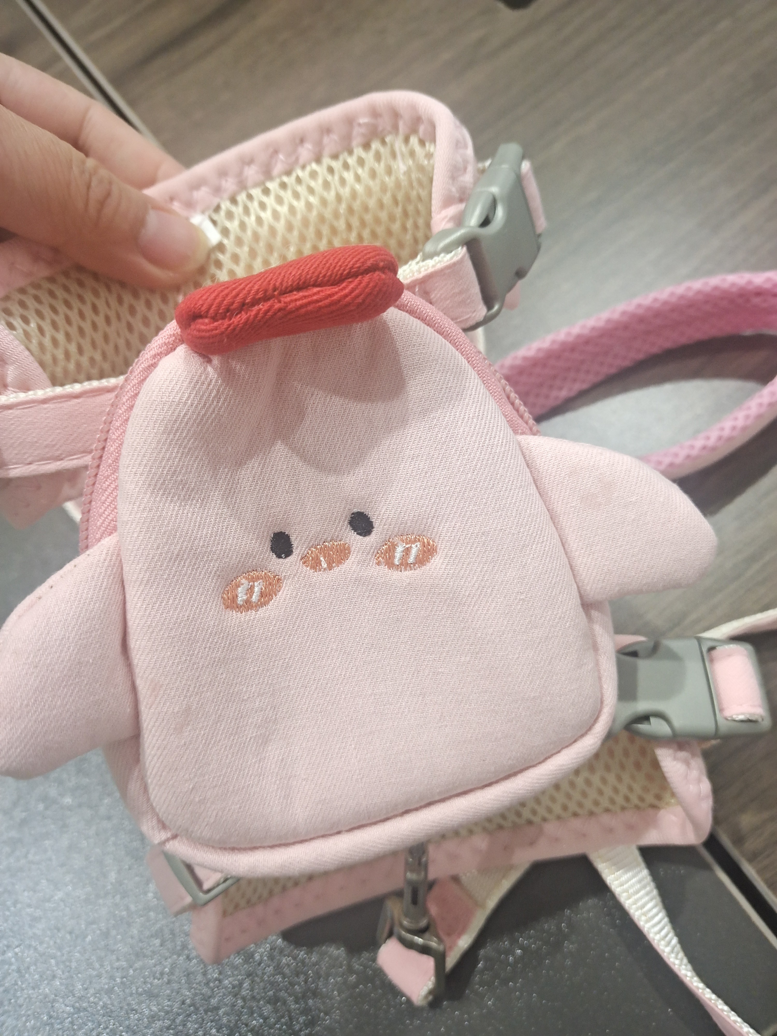 Chicken Pet Safety Harness review Rachel Simmons