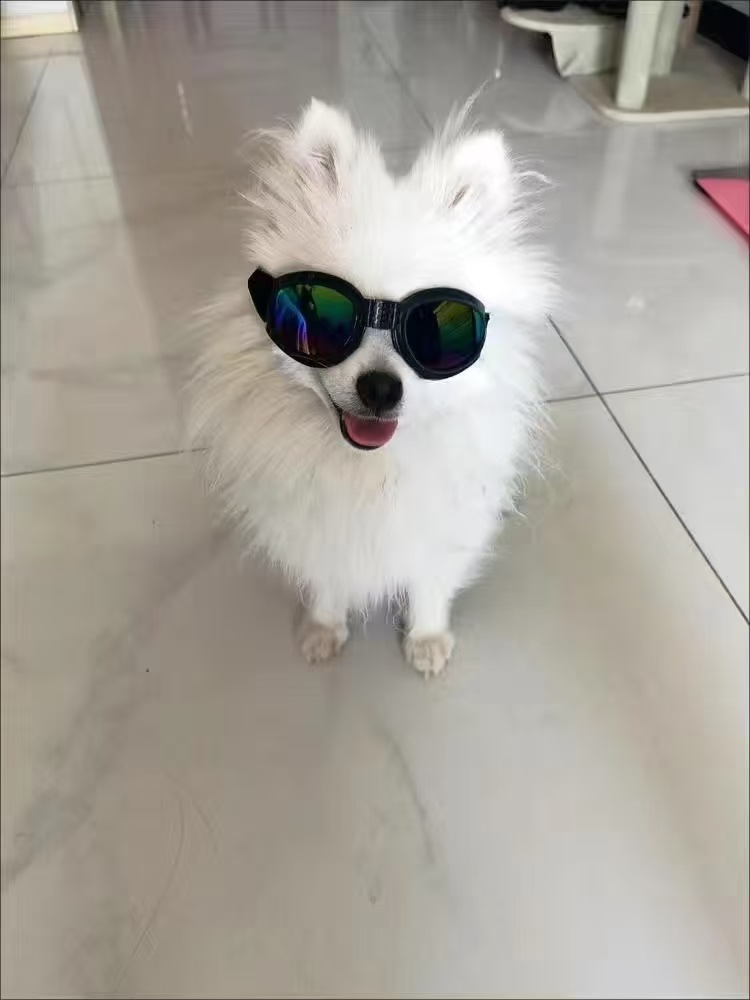 Six color Optional Pet Windproof Sunglasses review David Reynolds