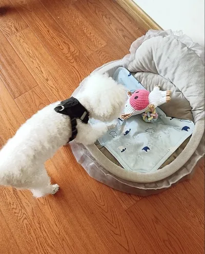 Dog Chew Toys Plush Farm Animals review Michael Carter