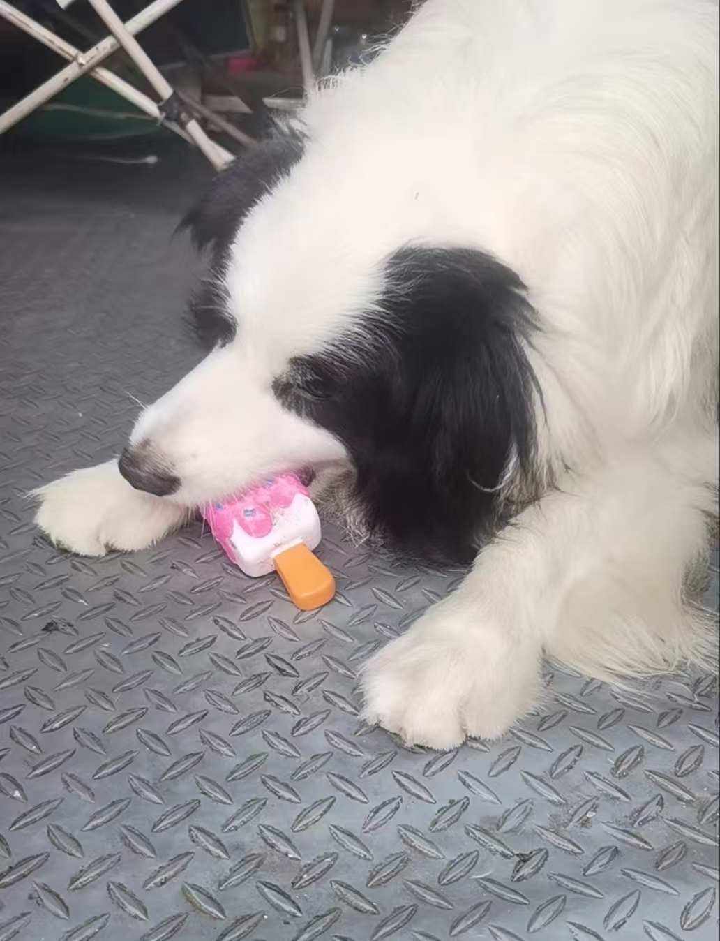 Voice Activated Pet Toy Simulation Ice Cream review Stella Brooks