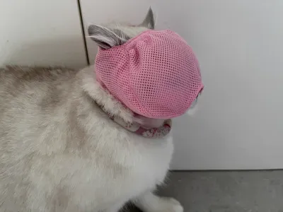 DOGLEMI Cat Muzzle Breathable Mesh Muzzle Adjustable Cat Mask That Prevents Eating Biting And Barking review Emily Townsend