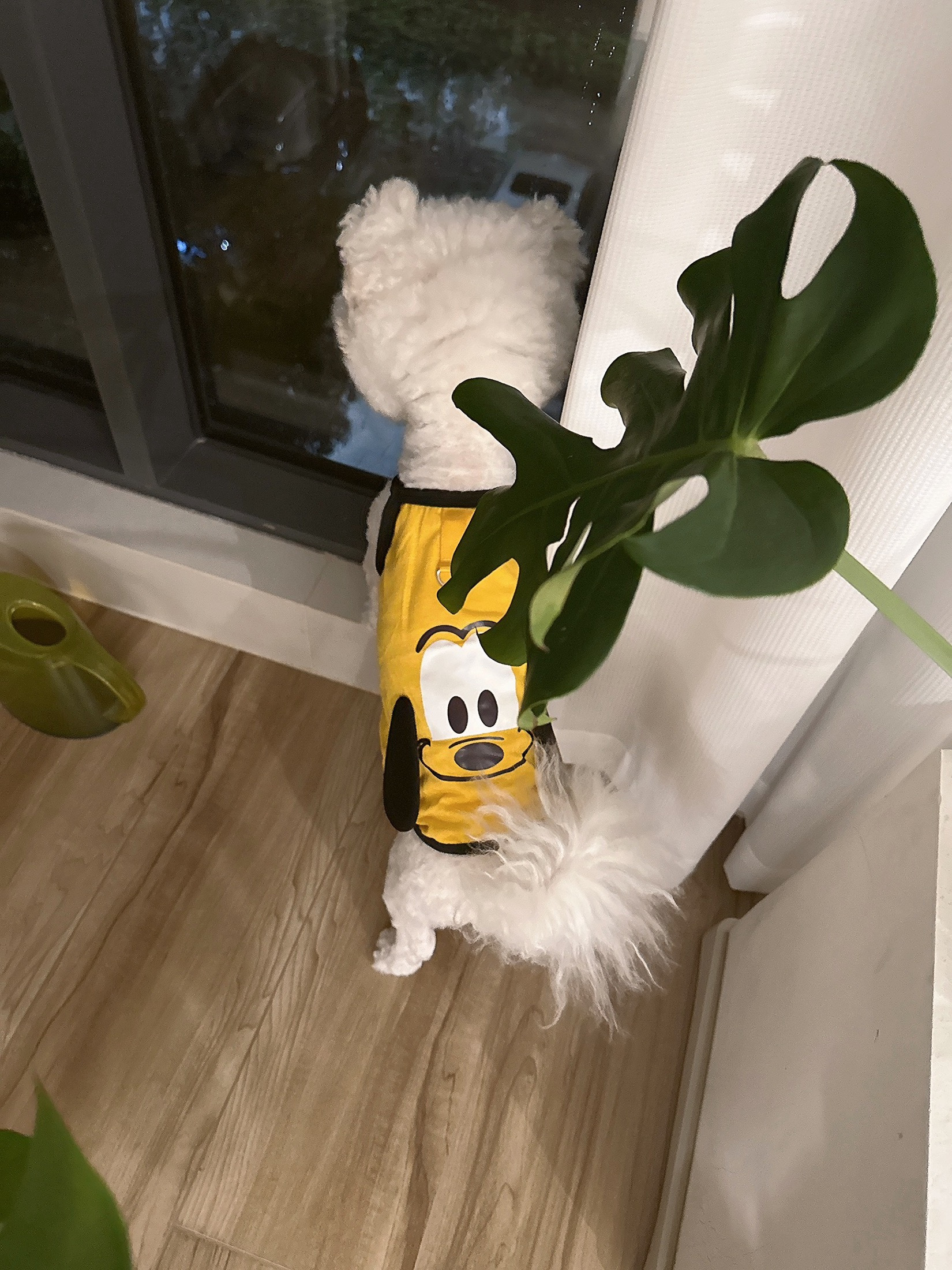 Cute Cartoon Puppy Suspender Pet Clothes review Eleanor Grant