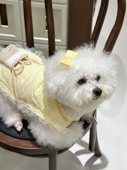 Princess Style Quiet Pastoral Woven Shoulder Bag Vest Pet Clothes review Daniel Brown