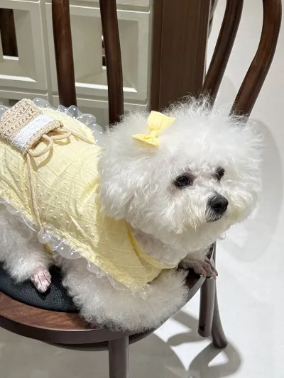 Princess Style Quiet Pastoral Woven Shoulder Bag Vest Pet Clothes review Daniel Brown