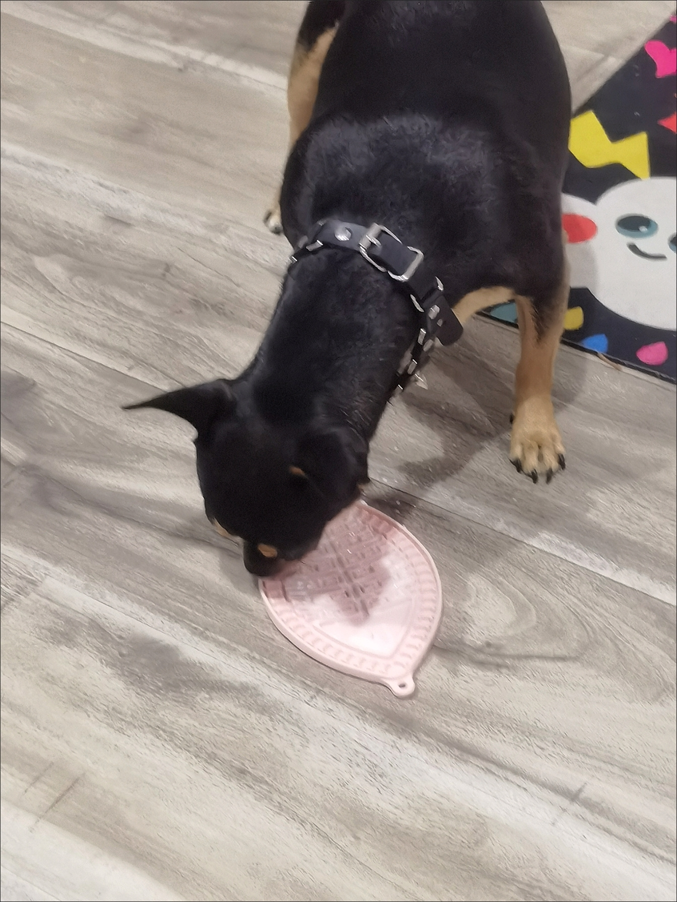Silicone Slow eating Licking Pad for Pets review Jennifer Davis