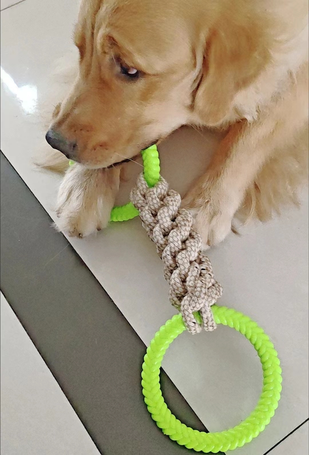 Large Dog Cotton Rope Chew Toy review Daniel Wilson