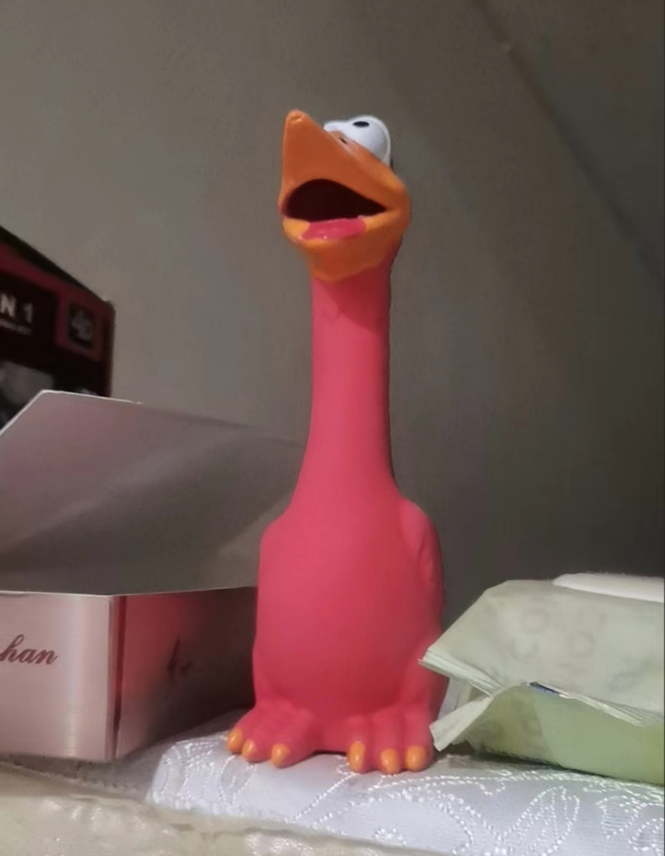 Cartoon Duck Squeaky Rubber Toy review Benjamin Lee