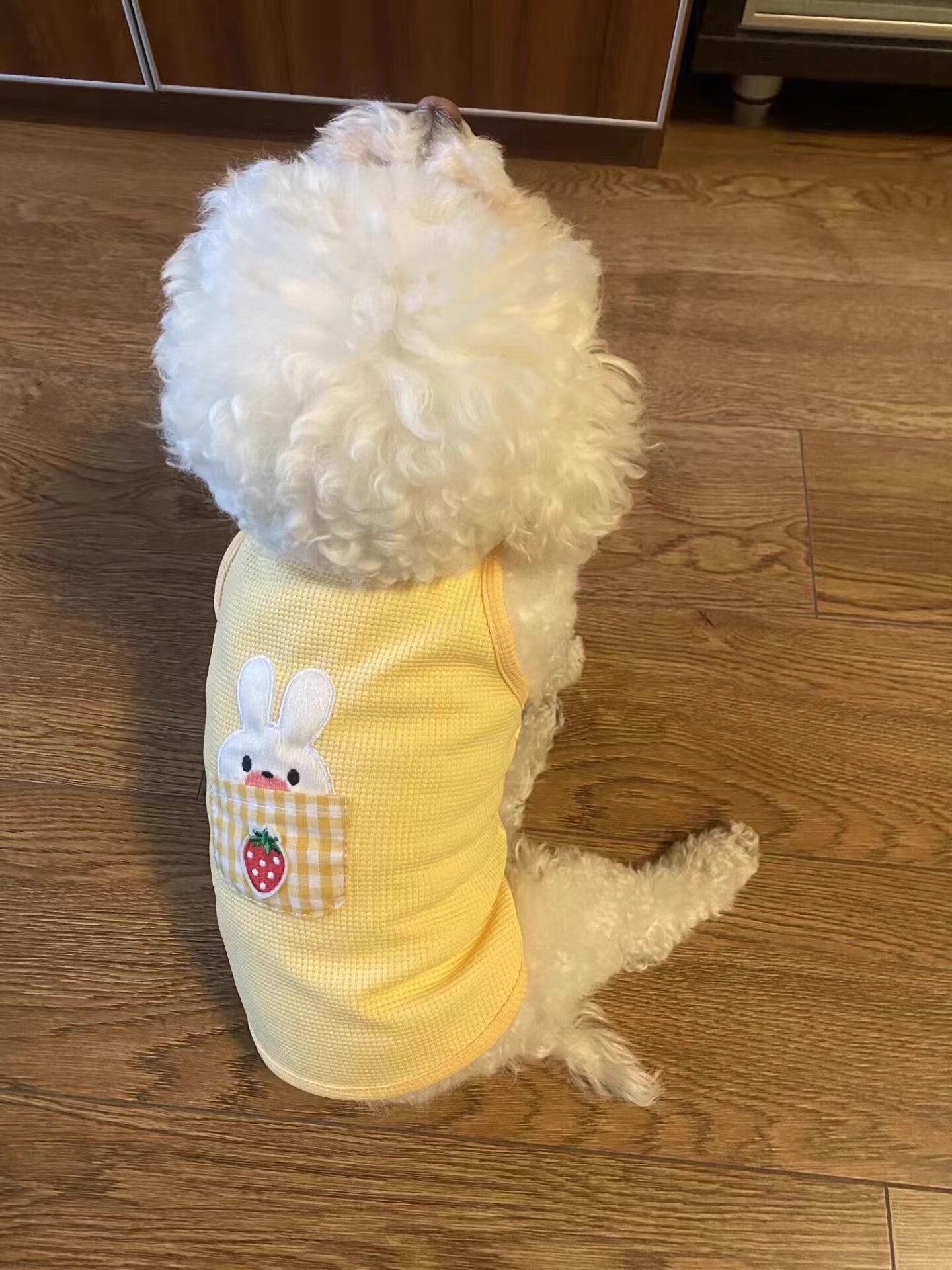 Summer Strap Dog Clothes review Michael Brown