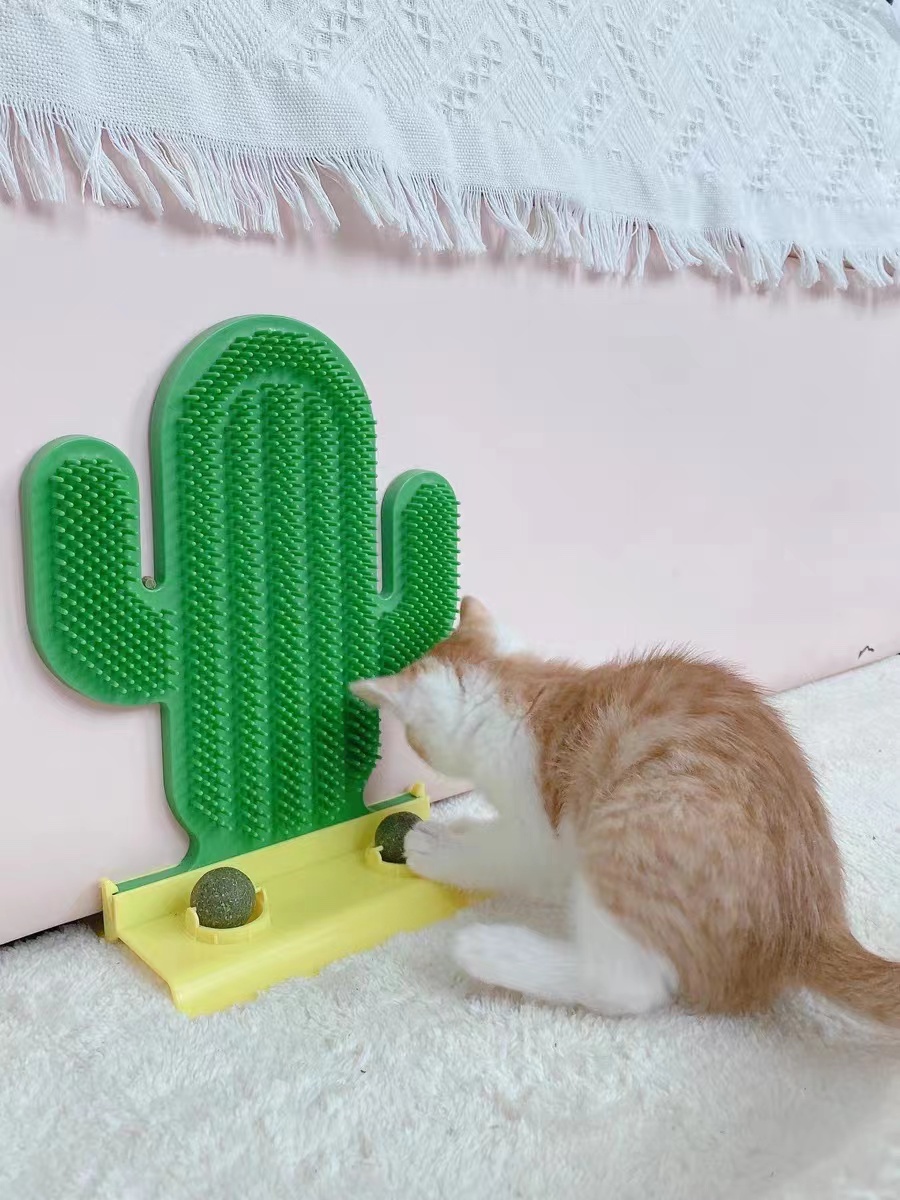 Cactus shaped Cat Scratch and Massage Tool review Elizabeth Wilson
