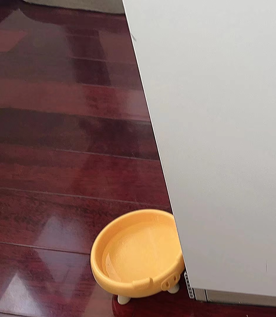 Pig Nose Pet Bowls Set review Karen Wilson