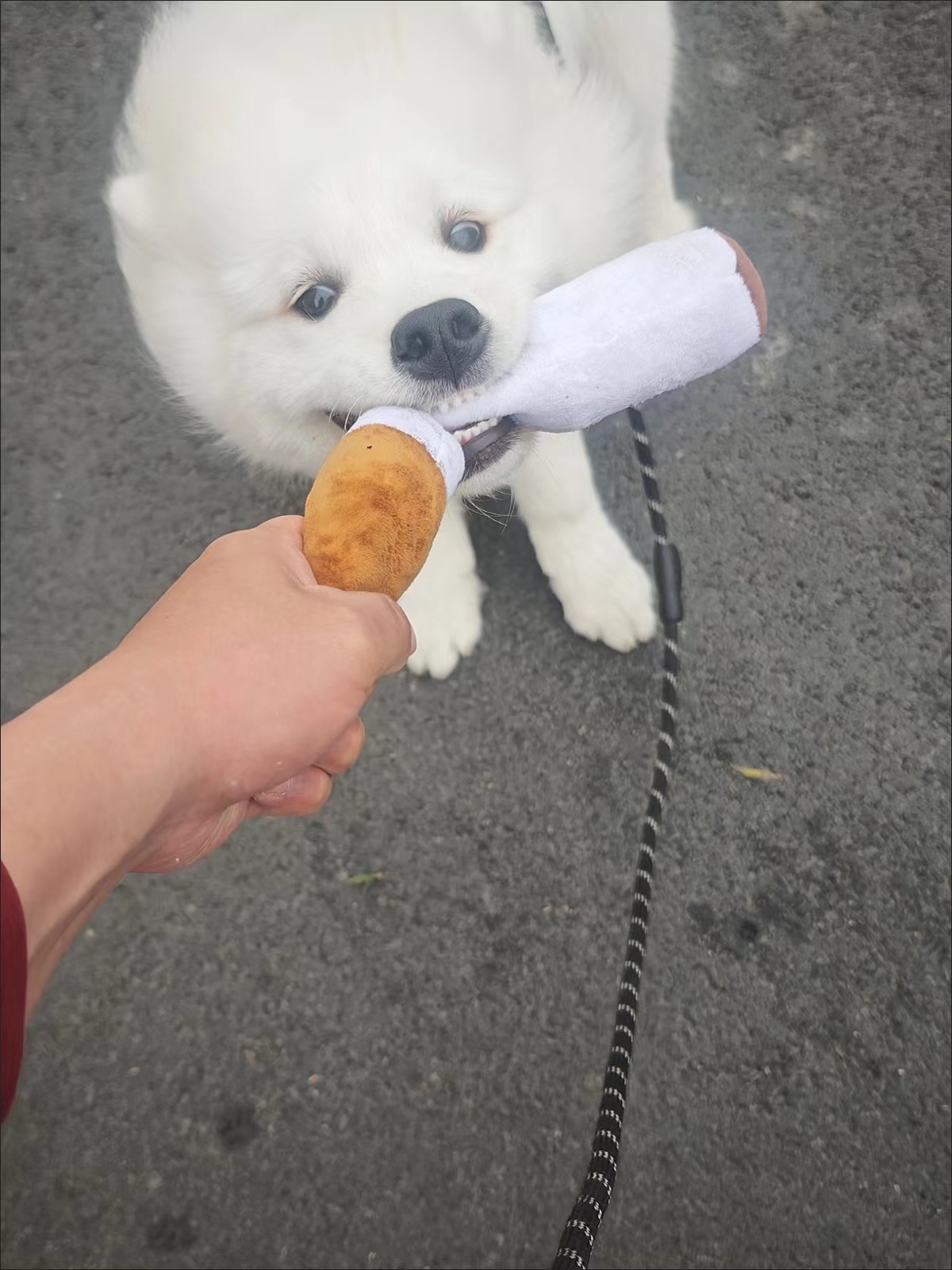 Funny Cigarette Dog Chew Toy review Daniel Johnson