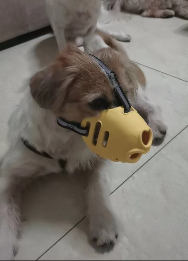 Adjustable TPE Dog Muzzle review David Wilson