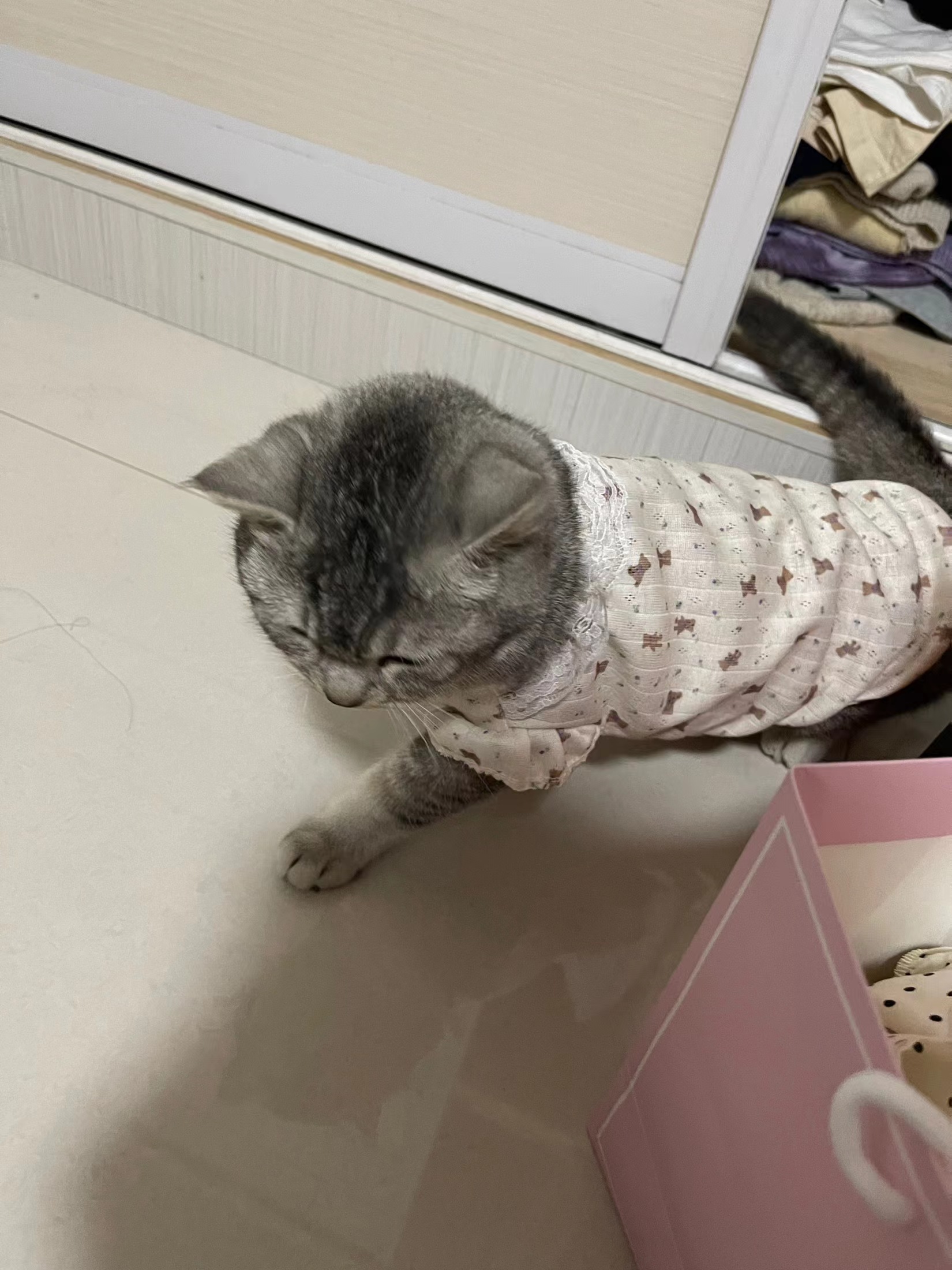 Pet Clothing Spring And Autumn Style Flying Sleeve Lace Vest review Marie Thompson