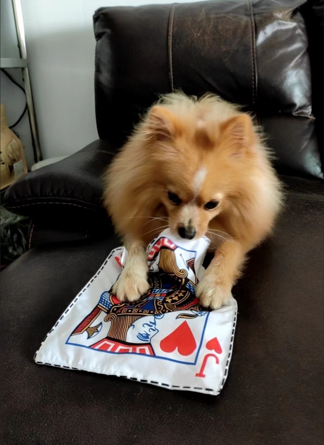 Pet Sniffing Black And White Noisy Paper Toys review Marie Carter
