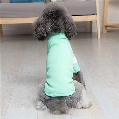 Pet High Neck Base Shirt review Samuel Reed