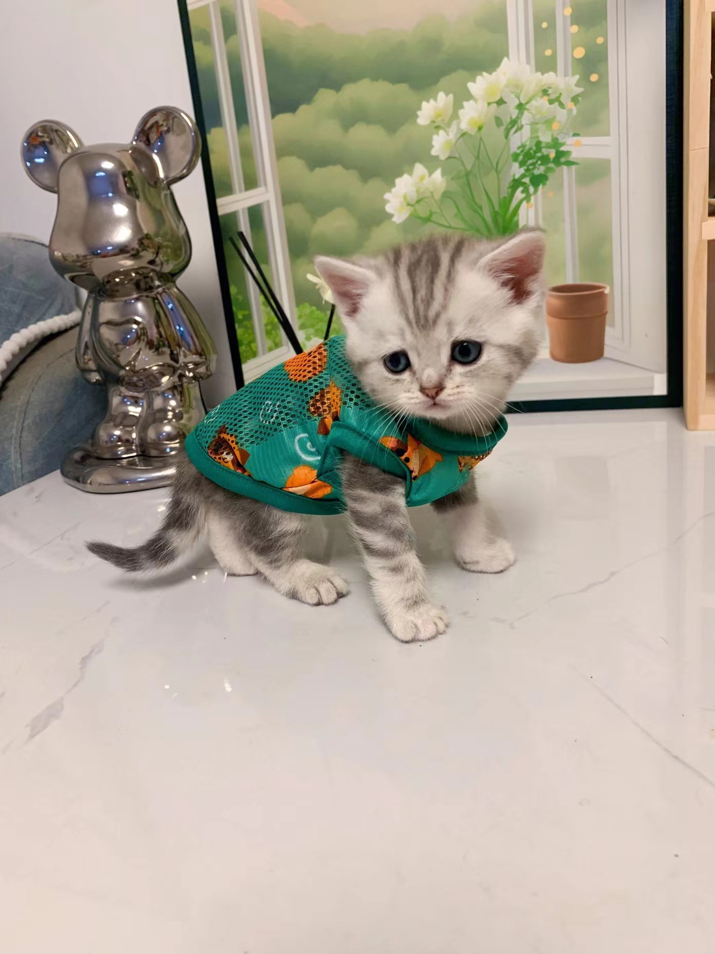 Kitten, Puppy, One Month Old Kitten, Summer Thin Vest review Natalie Rose King