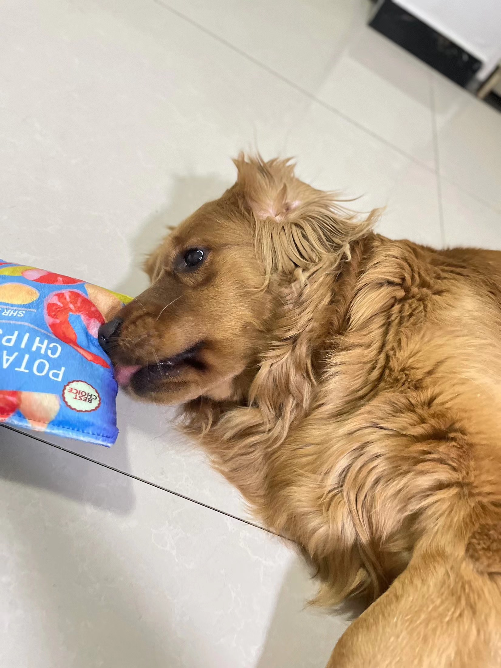 Pet Toys, Dogs, Creative Vocalizations, Plush Toys, Potato  review Avery Simone Collins