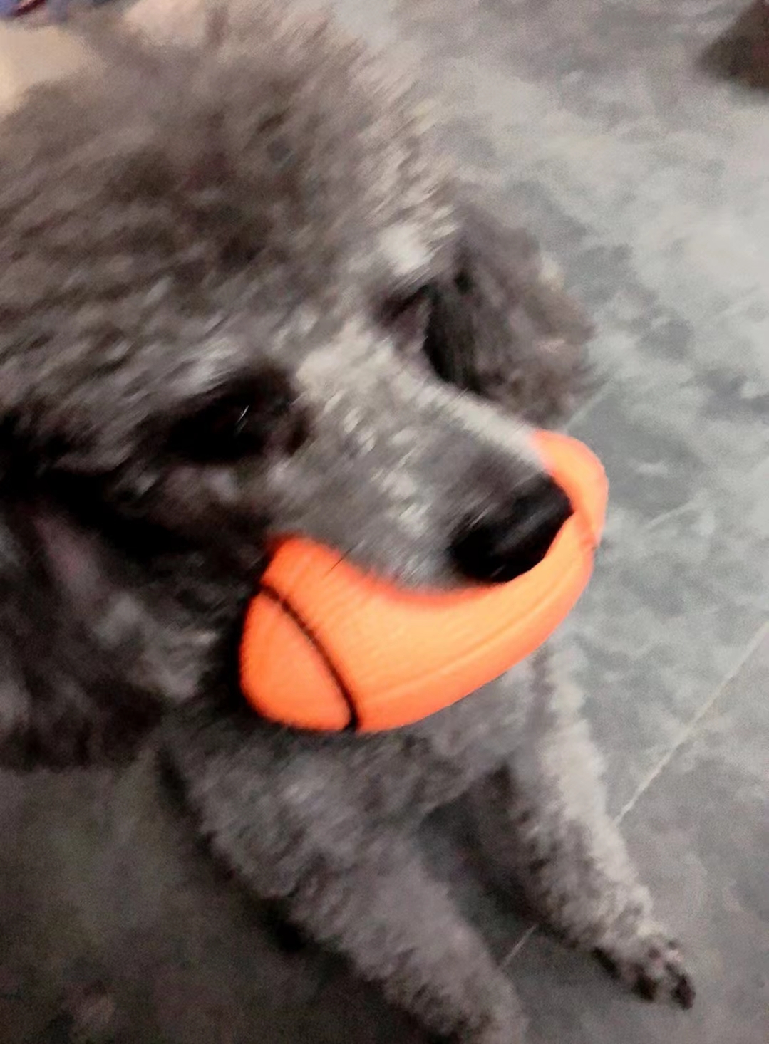 Dog Toys With Bite Resistance, Teeth Grinding, And Noise Relieving Balls review Harper Lynn Mitchell