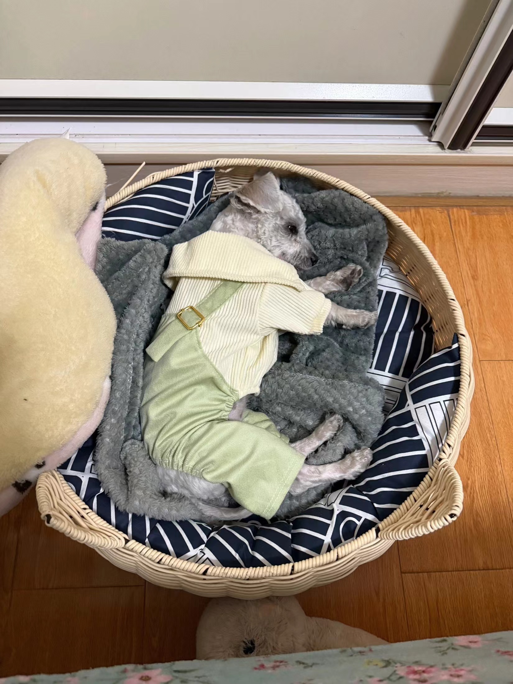 Pet Clothing, Overalls, And Pants review Lila Grace Hartwell