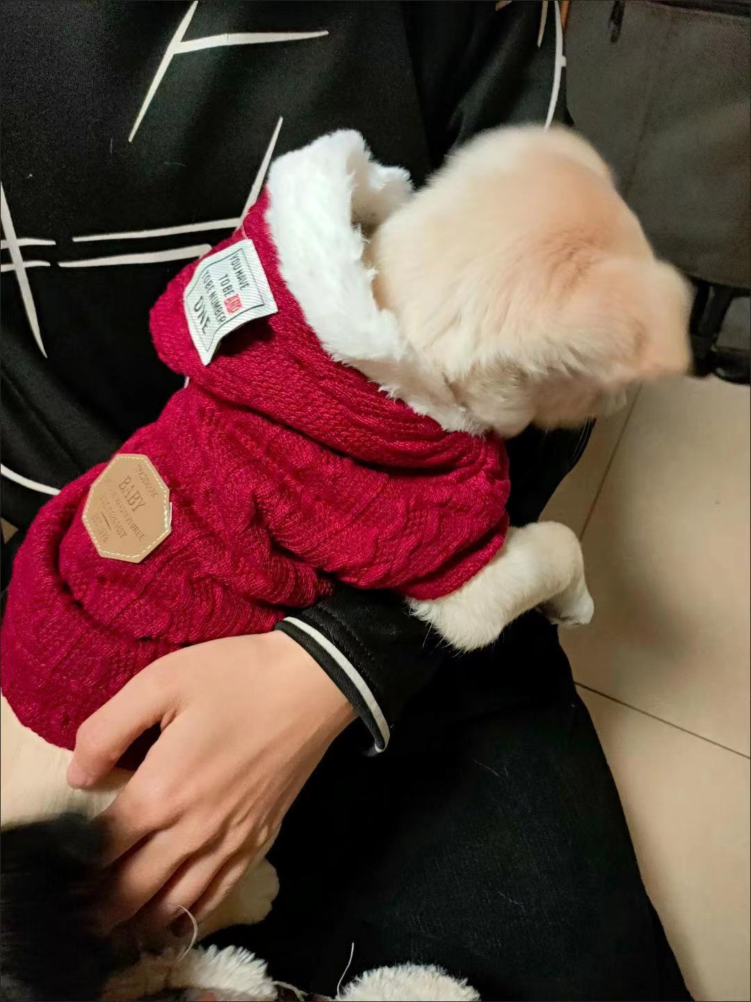 Dog Autumn And Winter Fleece Warm Hooded Vest review Ryan Foster